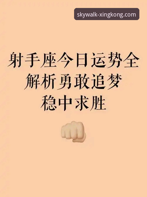 星空娱乐平台深度评测：从官网入口到APP体验的全方位解析
